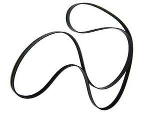 S-Type Engine Drive Belt NEW AJ84136