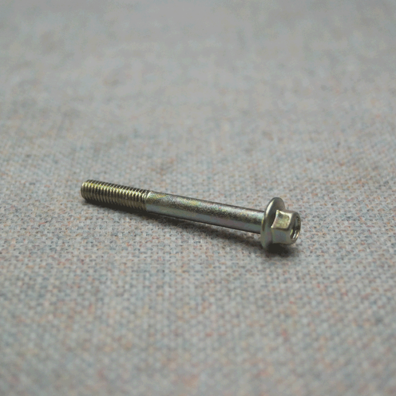 Flenskopbout M6 x 55mm NIEUW AJ88674