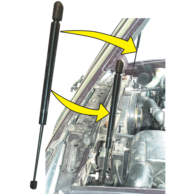 Bonnet Strut NEW BEC19809