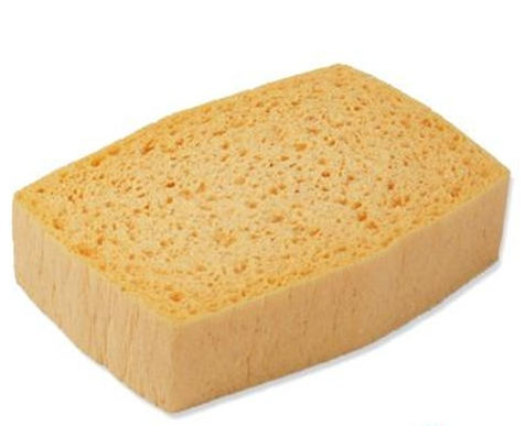 Sponge NEW C2A1026