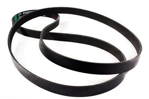 Engine Drive Belt NEW C2C20642