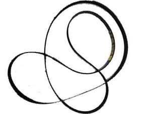 Engine Drive Belt NEW C2C28085