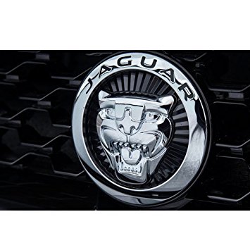 Kühlergrill Emblem NEU C2P23670