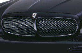 Upper Mesh grille black finish NEW C2S36461