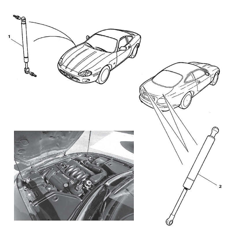 Support Trunk Strut Convertible NEW GJA3800AB