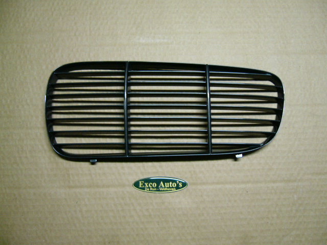 Jaguar XJ ab 2003 Grill Gittereinsatz in Dorchester grau Links. NEU