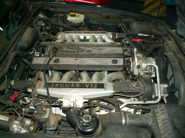 Jaguar XJ6/XJ12 Motor V12 6.0 Gebraucht