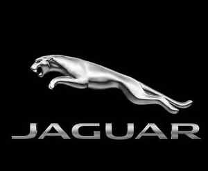 Jaguar Badge NIEUW T2R4338